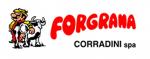Forgrana