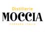 Moccia