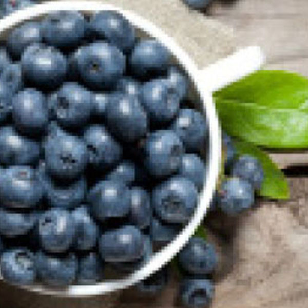 Pariani Blueberry paste