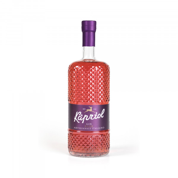  Kapriol Liqupre Sloe Gin28,7°  750ML