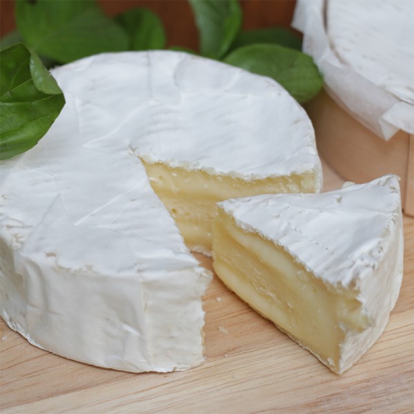 Camembert